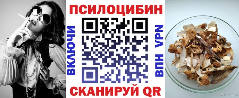 Галлюциногенные грибы мицелий  наркотики  Димитровград 