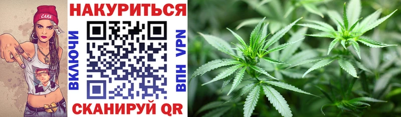 купить наркотики сайты  KRAKEN ссылки  даркнет формула  Димитровград  Канабис SATIVA & INDICA 